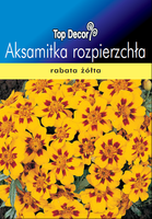 Tagetes patula nana
