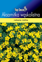 Tagetes tenuifolia