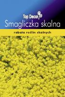 Alyssum saxatile compactum