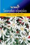 Szarotka alpejska